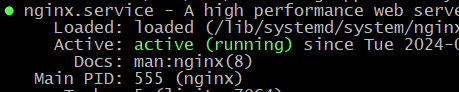 active (running) status of nginx service